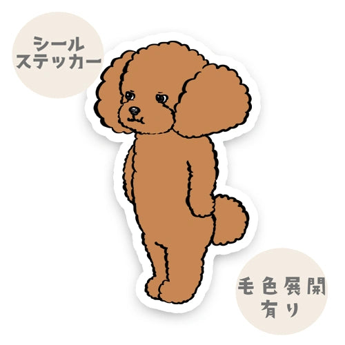 ちんぷりかえるプードルちゃん。87-