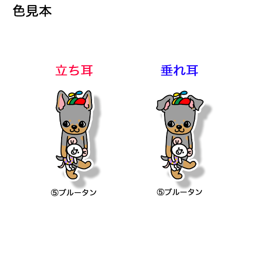 遊びに行くミニピンちゃん。113-24