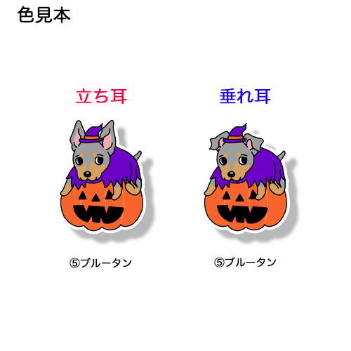 オバケカボチャとミニピンちゃん。113-11