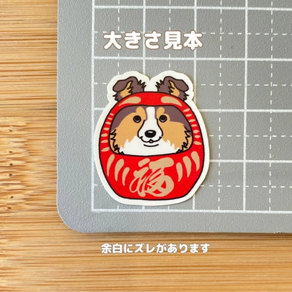 シェルティだるま。38-7