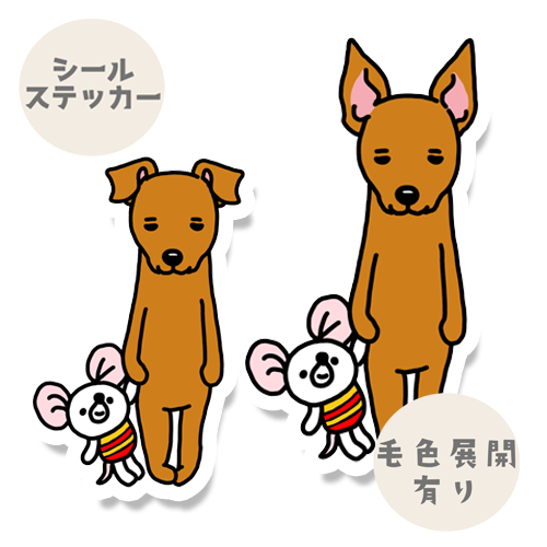 いい子でお留守番してるミニピンちゃん。113-6