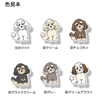 おすわりマルックスちゃん。110-2