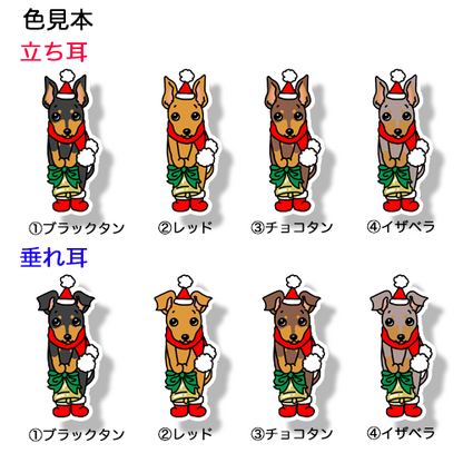 ミニピンちゃんのジングルベル。113-28