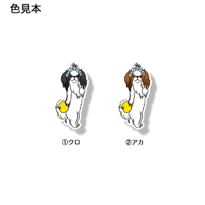 お風呂上がりの狆ちゃん。66-13