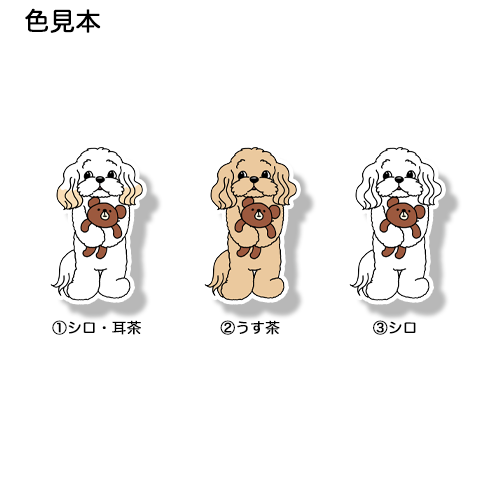 お留守番してるマルプーちゃん。111-6