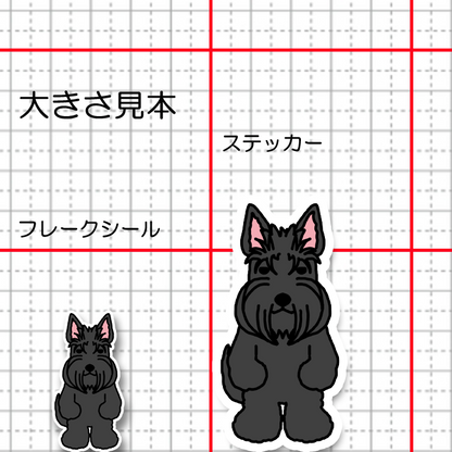 たたずむスコッティちゃん。46-2