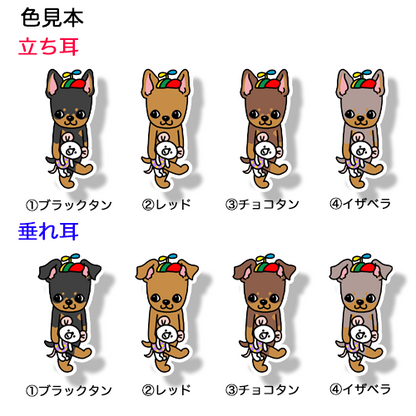 遊びに行くミニピンちゃん。113-24
