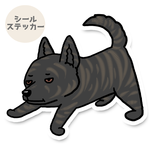 見張ってる甲斐犬さん。22-6
