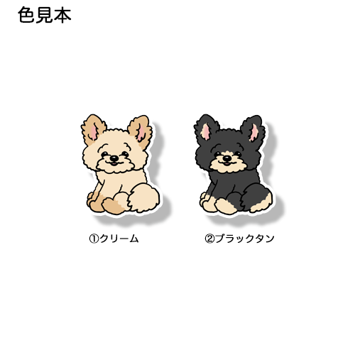 こっちを見ているポメプーちゃん。103-13
