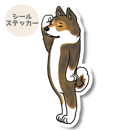 留守番中の四国犬さん。133-3