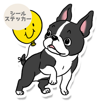 風船にビックリのボストンテリアちゃん。101-27
