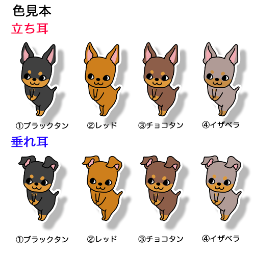 ごあいさつのミニピンちゃん。113-2