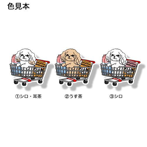 ショッピングを楽しんでるマルプーちゃん。111-11