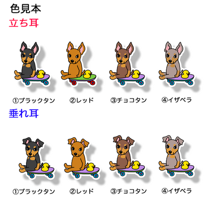 誰か来ないかなーって待ってるミニピンちゃん。113-8