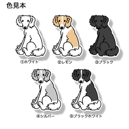 おすわりしてるボルゾイさん。105-7