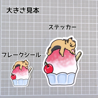 かき氷で冷えてるヨーキーちゃん。114-3