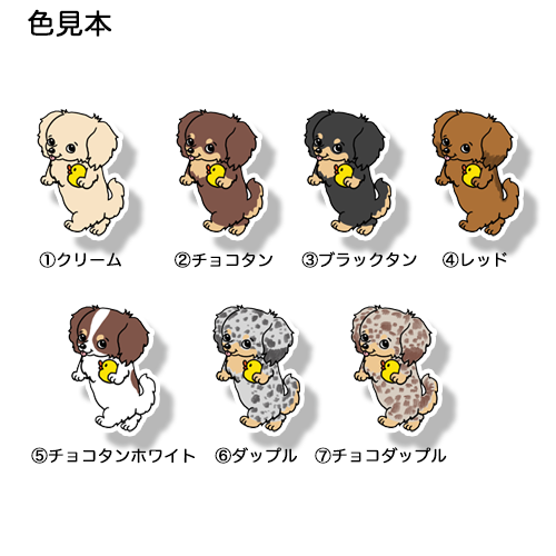 お気に入りのアヒルさんとチワックスちゃん。60-2