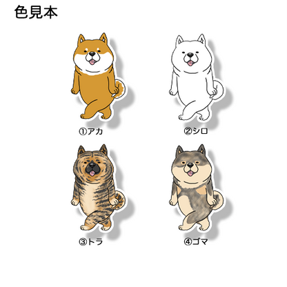 どこかに行く北海道犬さん。131-2