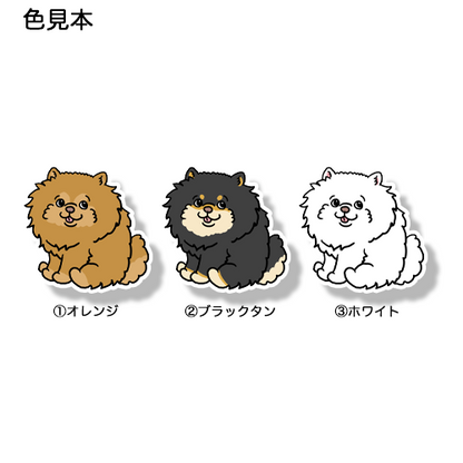おすわりしてるポメチワちゃん。102-2