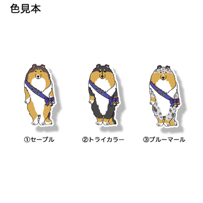 名犬ラフコリーさん。116-2