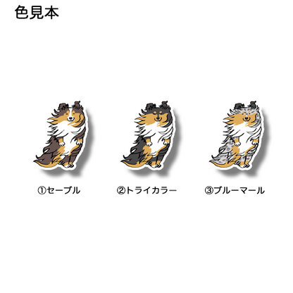 風に吹かれてるシェルティちゃん。38-10