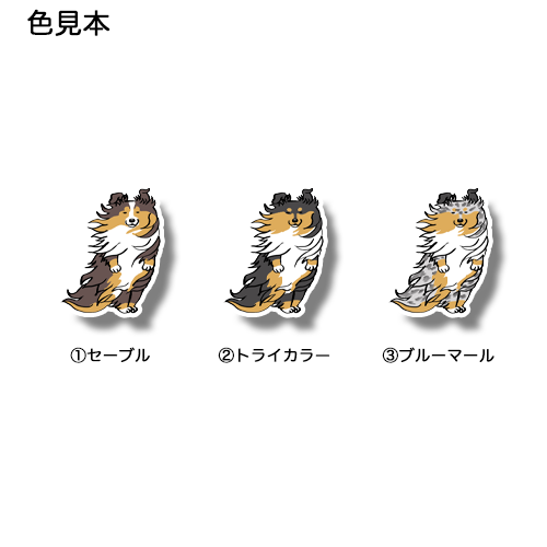 風に吹かれてるシェルティちゃん。38-10