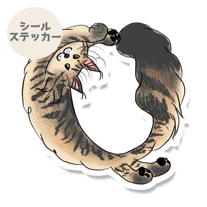 ハートに見える？メインクーンさん。157-2