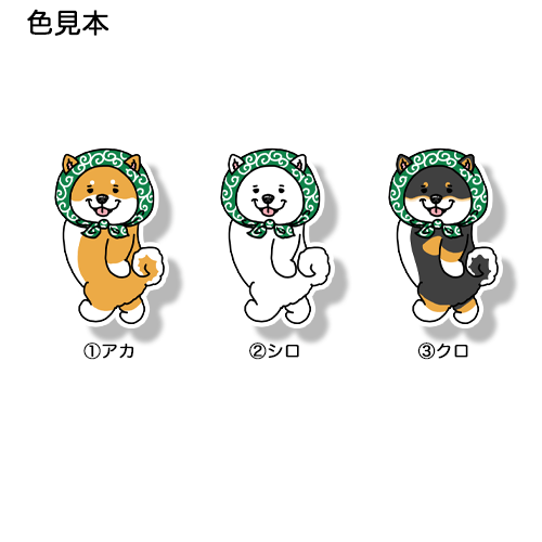 ほっかむりでお散歩シバちゃん。39-19
