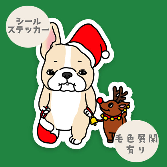 サンタフレブルちゃん。96−183