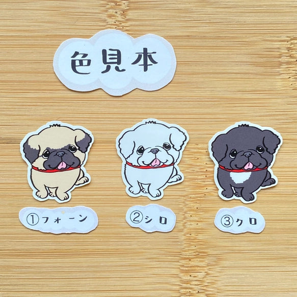 お散歩ペキニーズちゃん。97-
