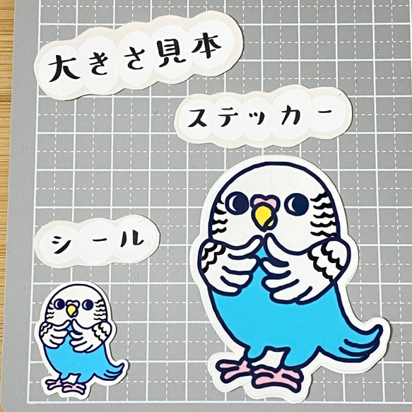 かわいいセキセイインコちゃん。