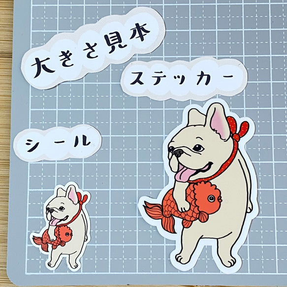 ランチュウがお気に入りのフレブルちゃん。96−130