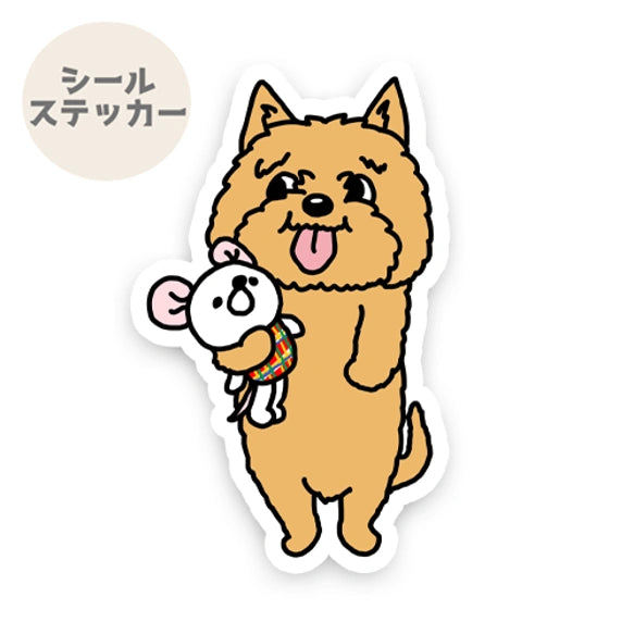 遊びたいノーリッチテリアちゃん。74-