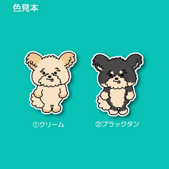 内心ワクワクしてるポメプーちゃん。103-