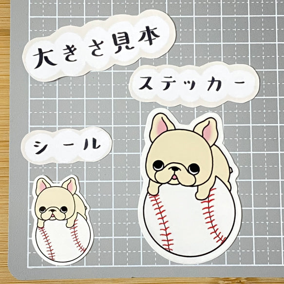野球ボール大好きフレブルちゃん。96−161