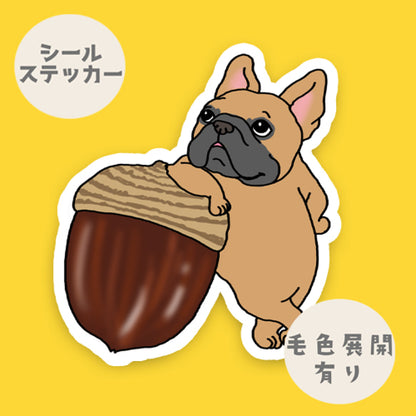 いいドングリ見つけたフレブルちゃん。96−14