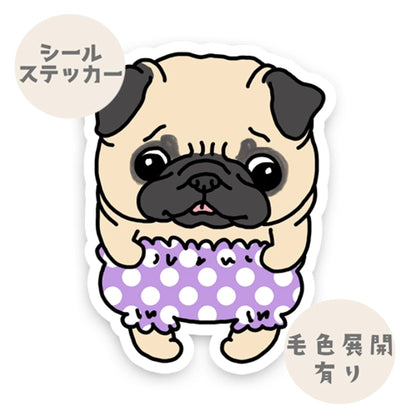 おパンツはけたパグちゃん。76-