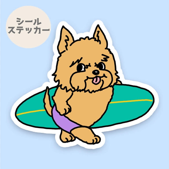 サーファーノーリッチテリアちゃん。74-