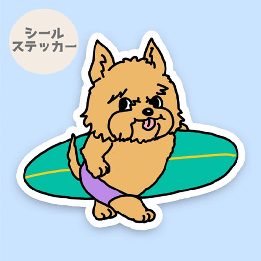 サーファーノーリッチテリアちゃん。74-