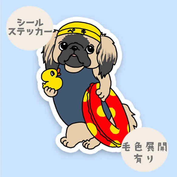 プールに来たペキニーズちゃん。97-