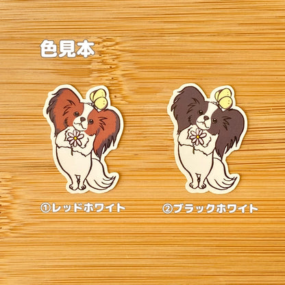 パピヨンちゃんと仲良しちょうちょ。80-