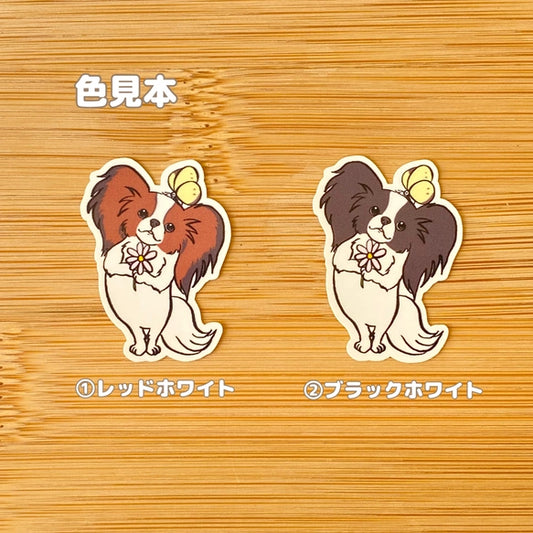 パピヨンちゃんと仲良しちょうちょ。80-