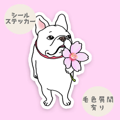 桜の妖精フレブルちゃん。96−220