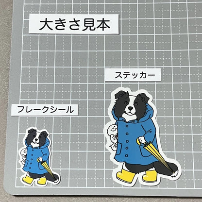 晴れてほしいボーダーコリーさん。106-