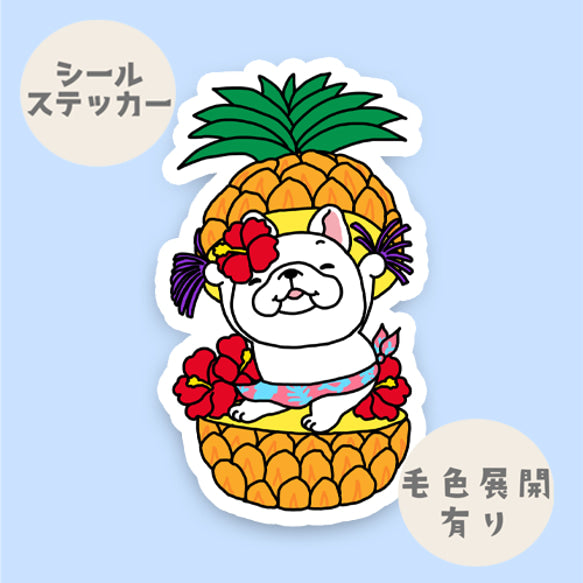トロピカルフレブルちゃん。96−303