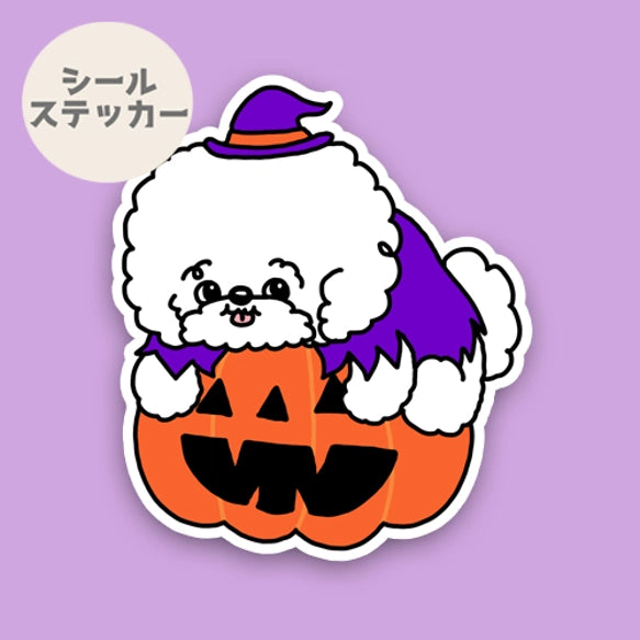 オバケカボチャとビションフリーゼちゃん。84-