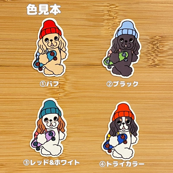 通学中のアメコカちゃん。5-9