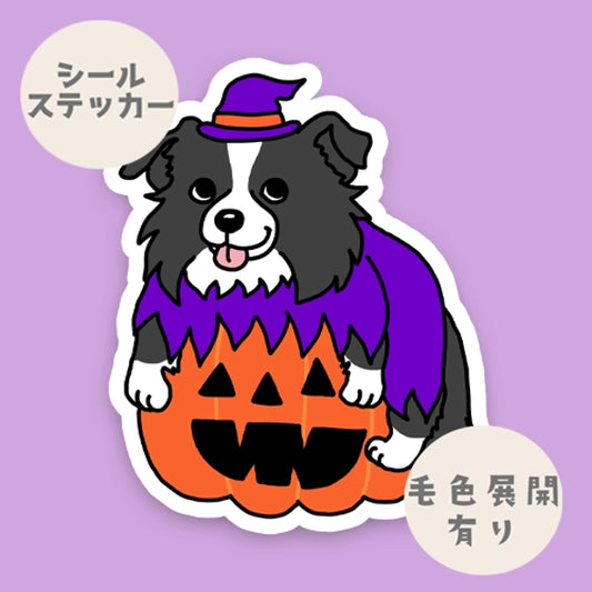 オバケカボチャとボーダーコリーちゃん。106-