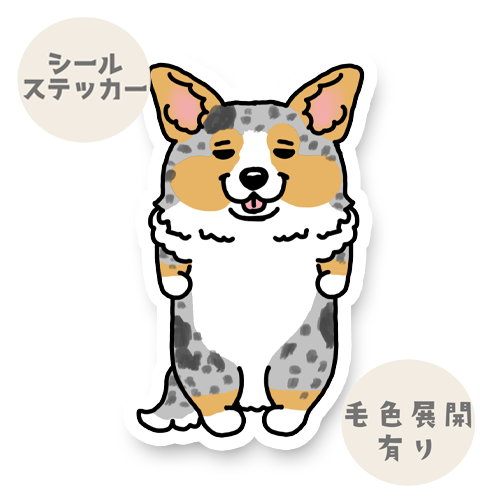 たたずむカーディガンちゃん。16-2