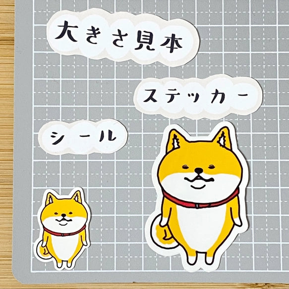 ほほえむシバさん。39-9
